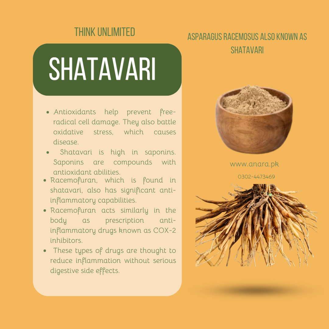 Shatavari Powder