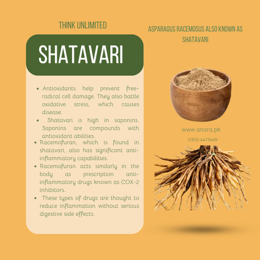 Shatavari Powder