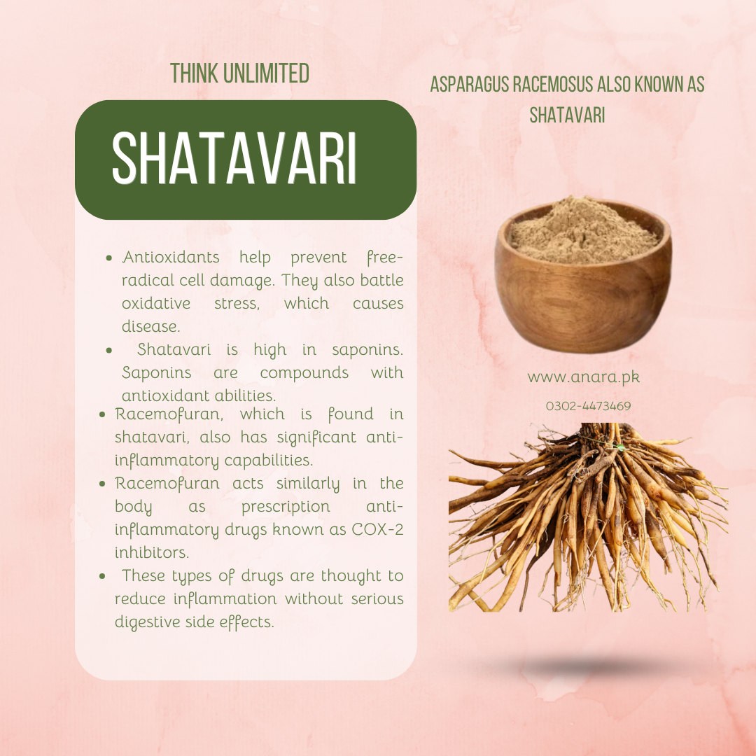 Shatavari Powder