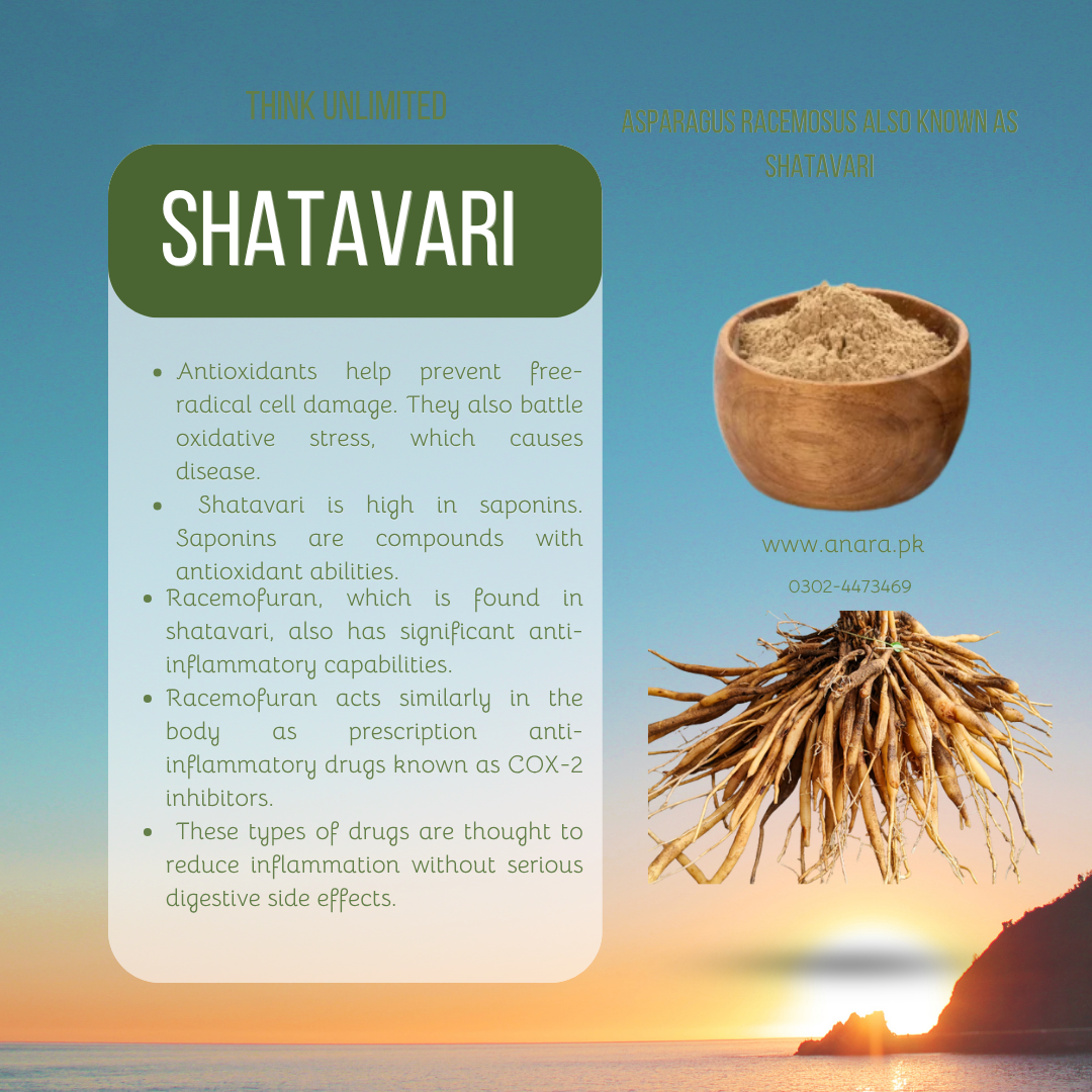 Shatavari Powder